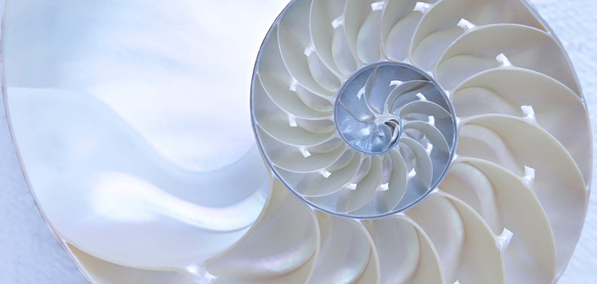 Feldenkrais-Kurs im Bewegungszentrum Rorschach – bewusste, achtsame Körperbewegung